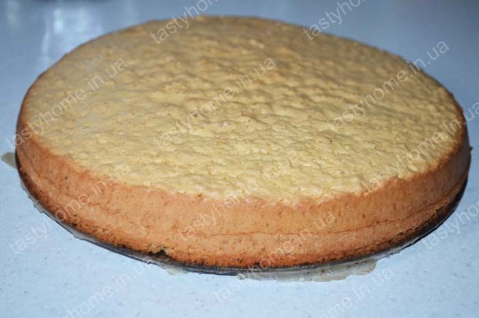 tort ptiche moloko6