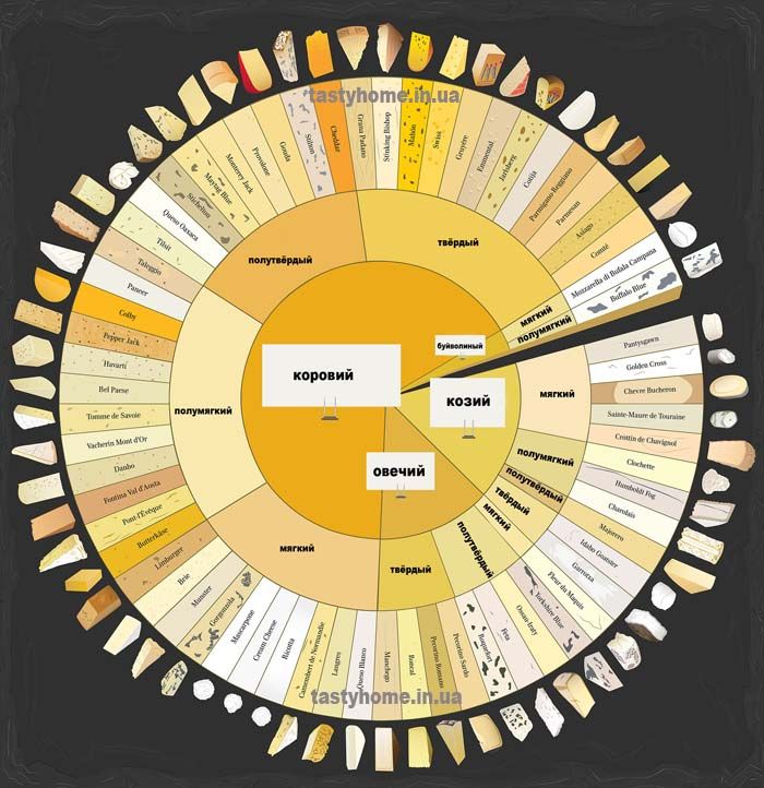 charted cheese small